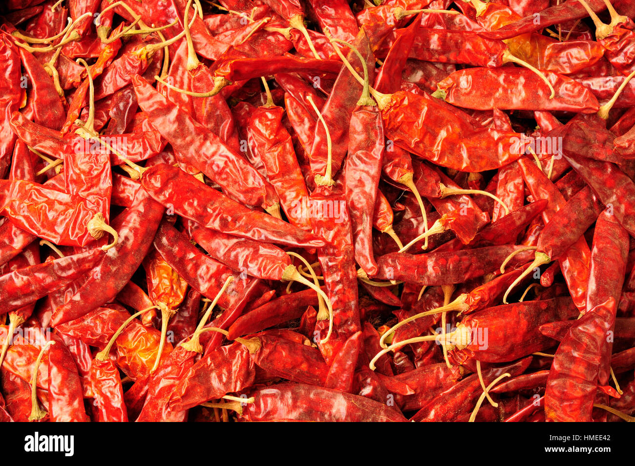 Indian Spice bunt. Heiße rote Paprika Stockfoto
