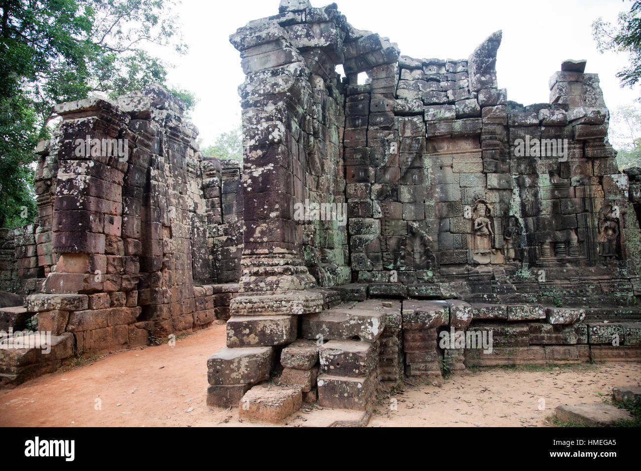 Ta Prohm Tempel in Siem Reap, Kambodscha Stockfoto