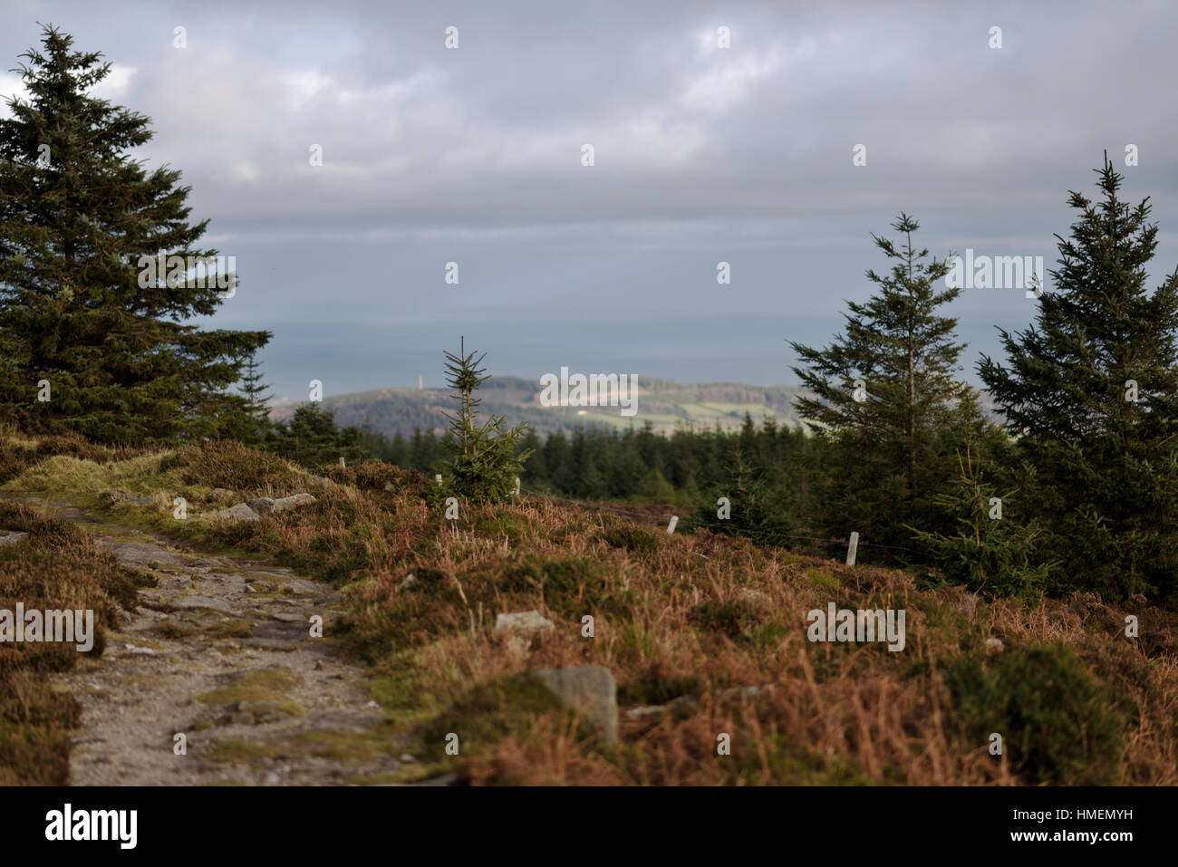 Wicklow Way - Wicklow Mountains - Irland Stockfoto