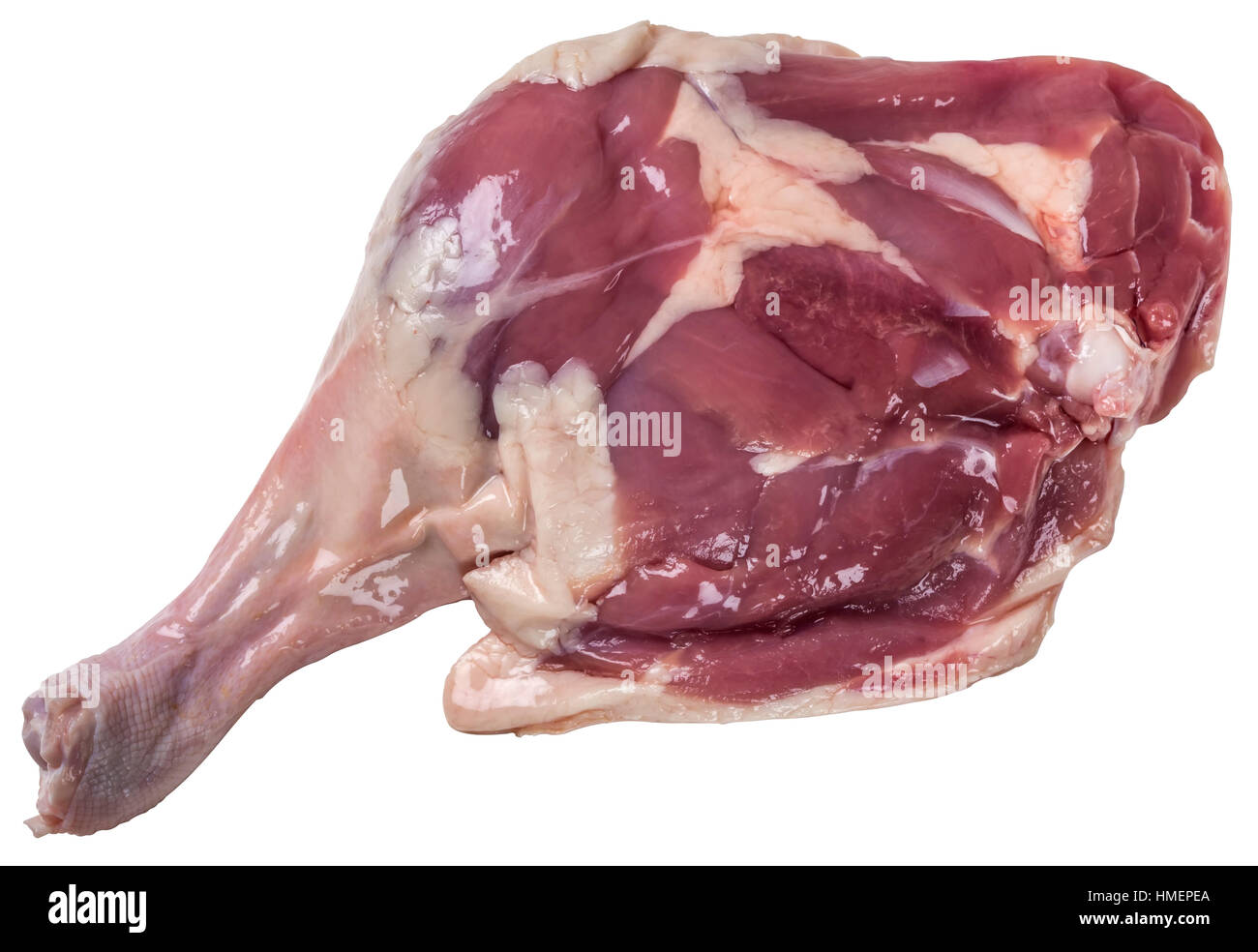 Rohe Entenkeule isoliert auf weißem Hintergrund mit Beschneidungspfad enthalten Stockfoto