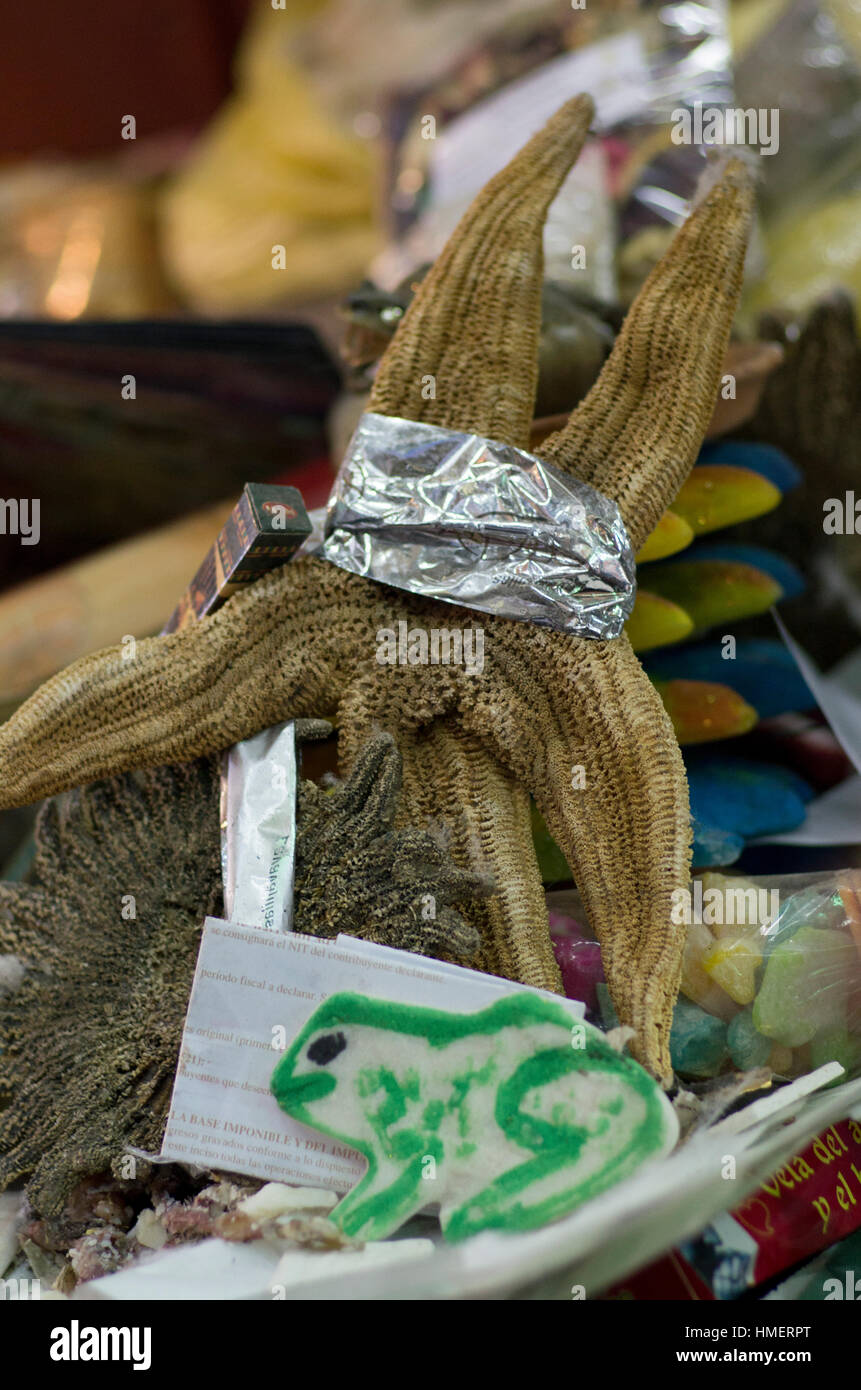 August in La Paz, Bolivien, Hexen oder Chifleras bereiten ein Opfer für die Mutter Erde Gottheit, la Pachamama, verbrannt und die Asche begraben, um appe Stockfoto