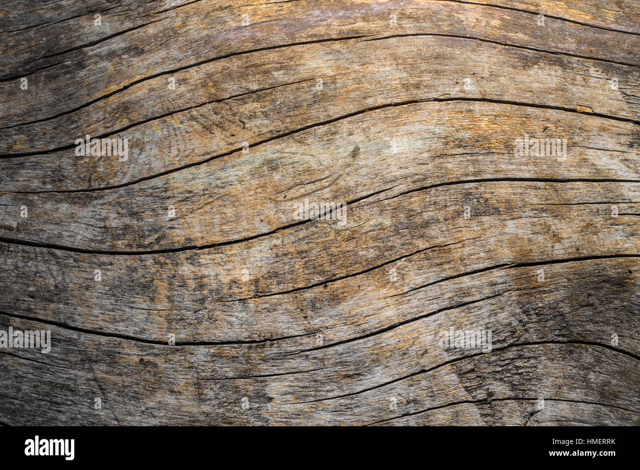 Natürliche Holzmaserung Textur mit geschwungenen Linien Stockfoto