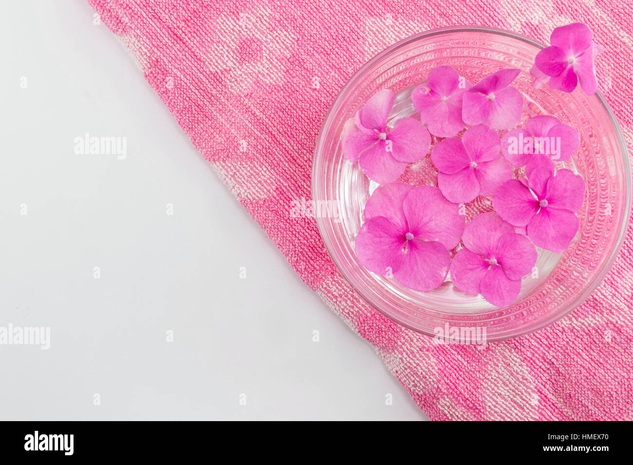 Hortensia Frühlingsblumen in eine Schüssel mit Wasser schweben Stockfoto