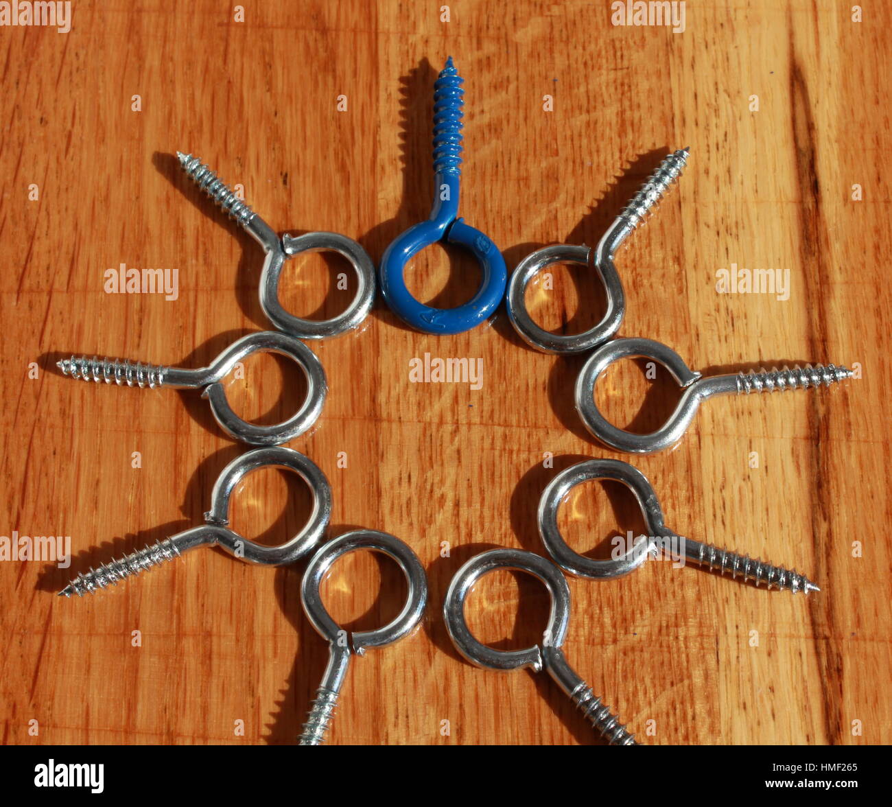 Kreis der Schraube Auge Stockfoto