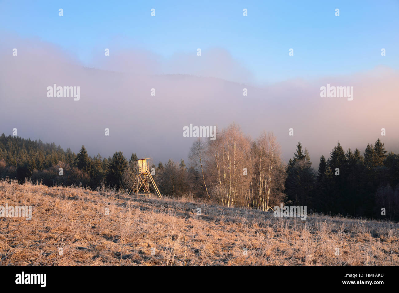 Erhöhten Schuppen Jagd auf Hirsche mitten in einem Wald von Pappeln. Hölzerne Jäger Hochsitz Jäger Morgen rechtzeitig mit Wolken ragen. Beobachtung-pos Stockfoto