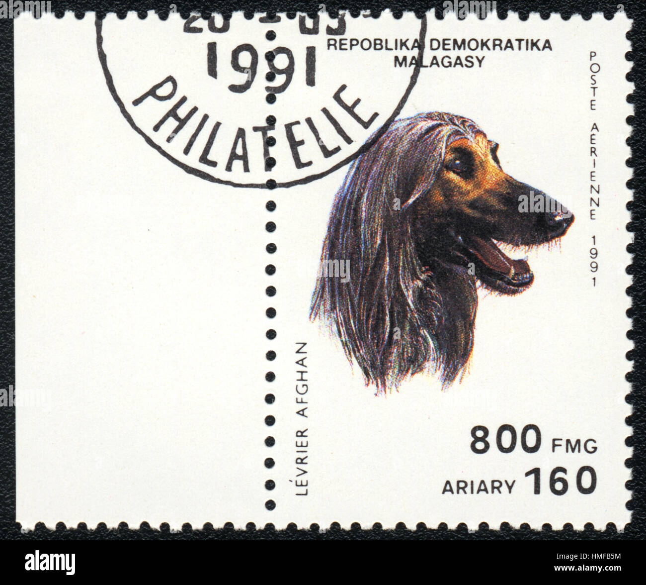 Eine Briefmarke gedruckt in Republica Madagassen zeigt ein Hund Levrier Afghan aus Serie Hunderassen, 1991 Stockfoto