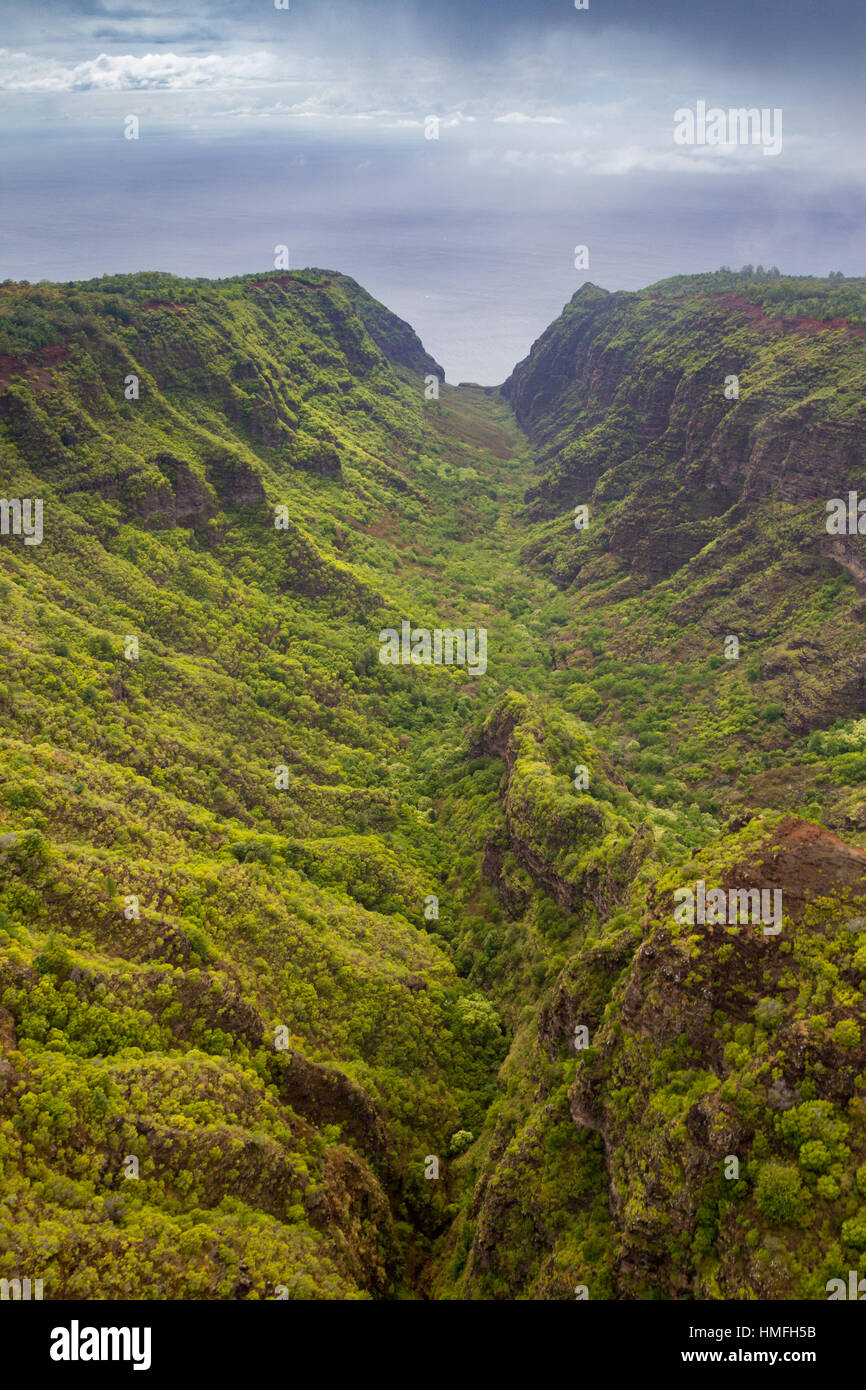 Luftaufnahme von einem steilen Tal hinunter die Na Pali Coast auf Kauai, Hawaii, USA. Stockfoto