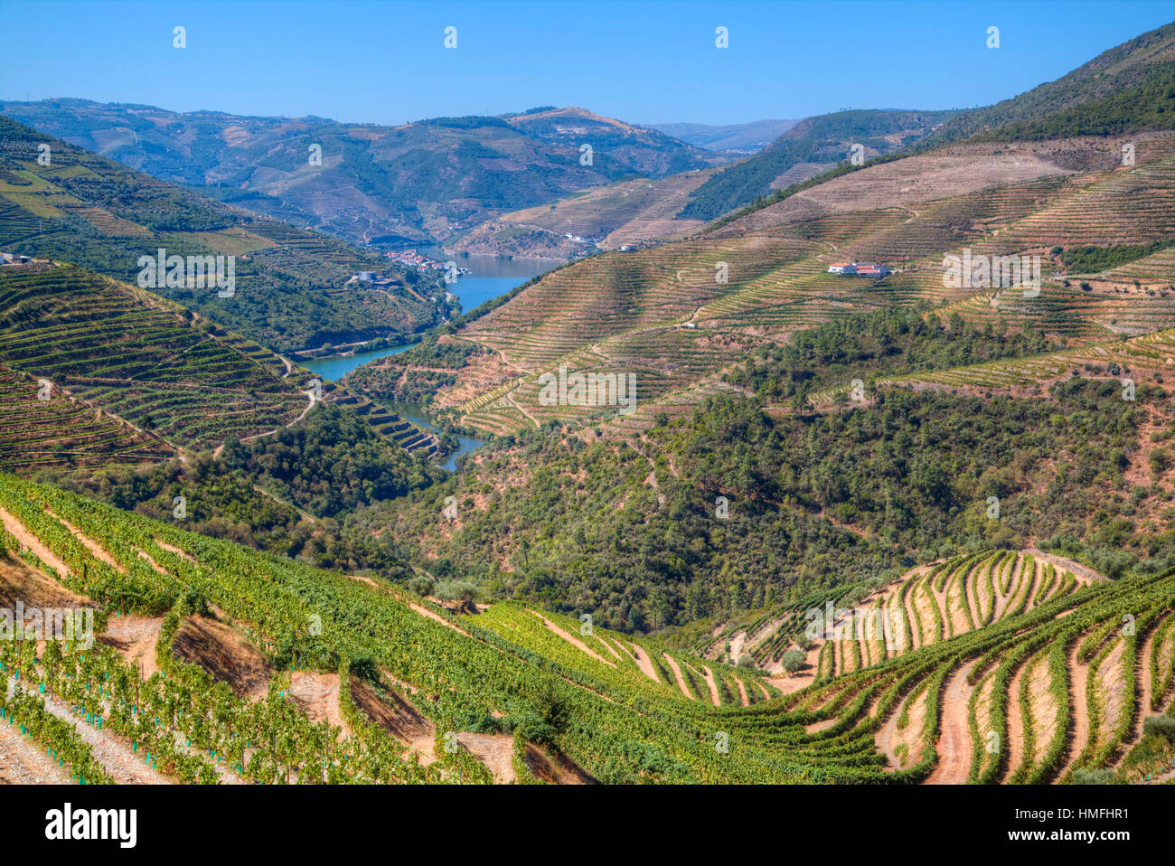 Weinberge und den Fluss Douro, Alto Douro-Wein-Tal, Portugal Stockfoto