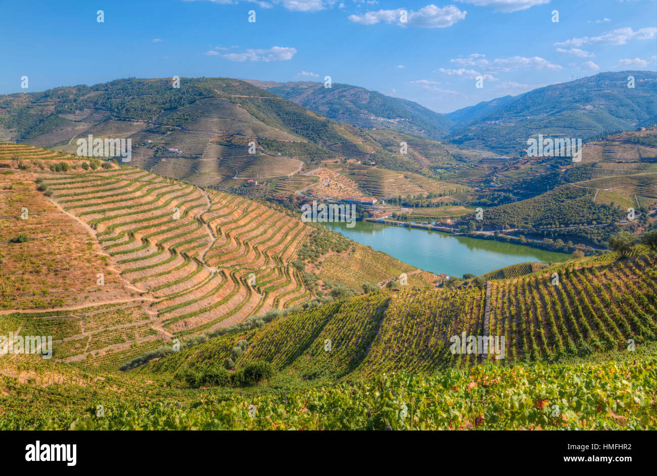 Weinberge und den Fluss Douro, Alto Douro-Wein-Tal, Portugal Stockfoto