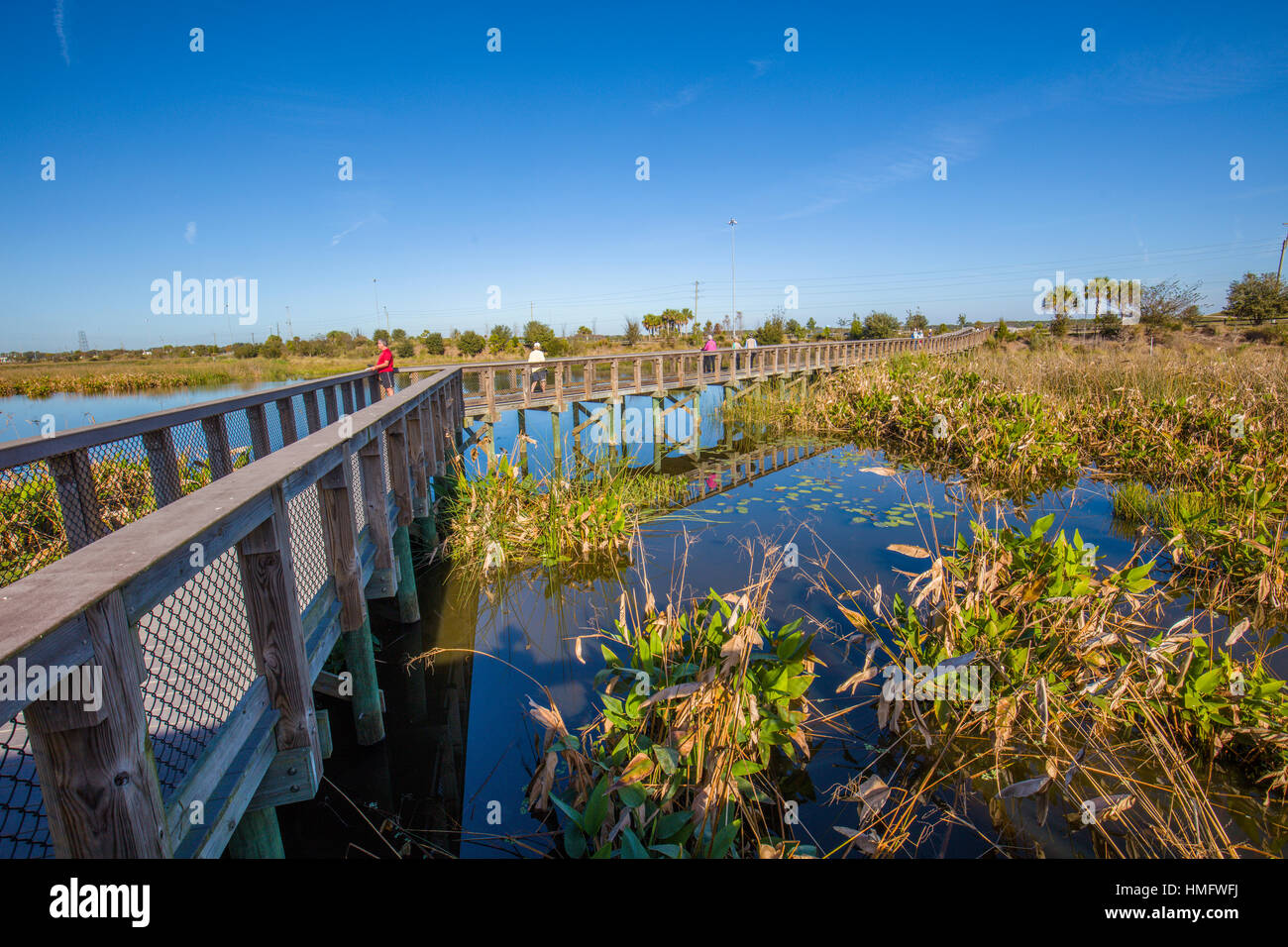Promenade in Sellerie Erholung und Natur Bereich Felder in Sarasota Couny in Sarasota Florida Stockfoto