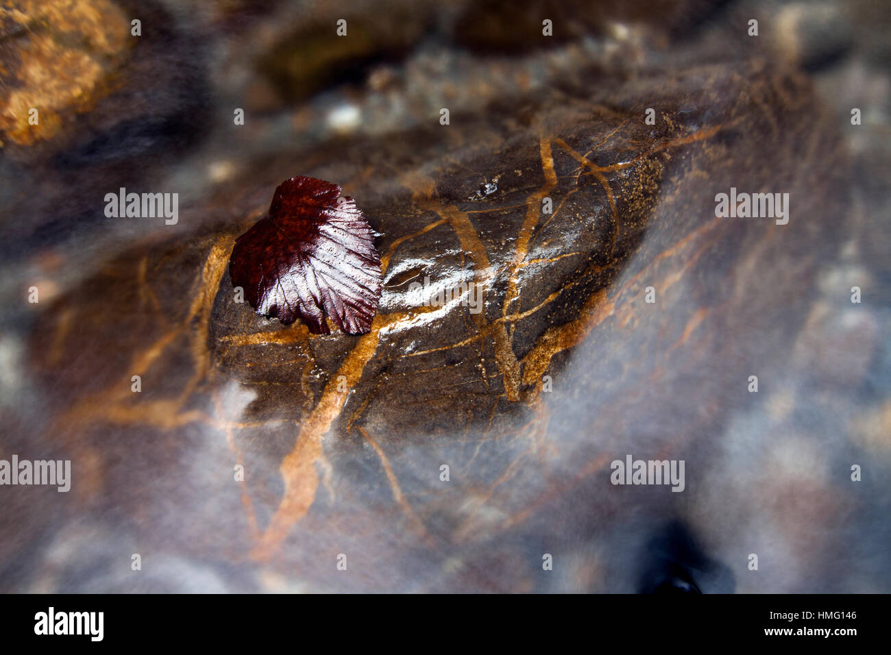 Fluss Stockfoto