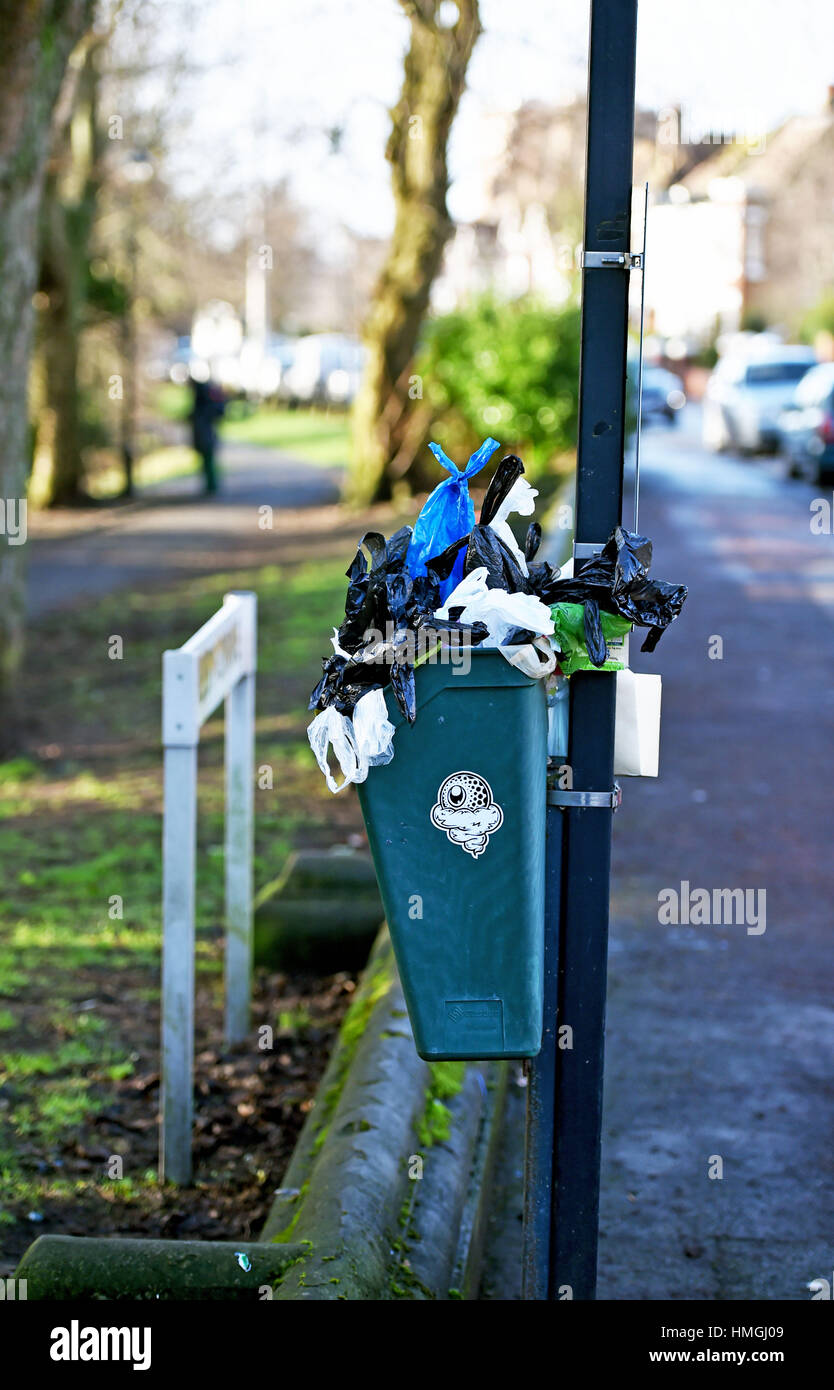 Überquellenden hund Abfallbehälter in Queens Park brighton Großbritannien Stockfoto