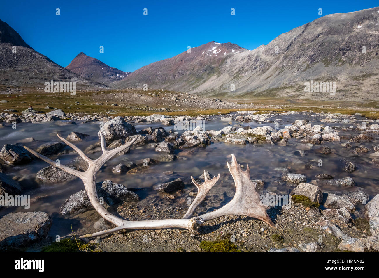 Rentier-Geweih in norwegischen Landschaft Stockfoto