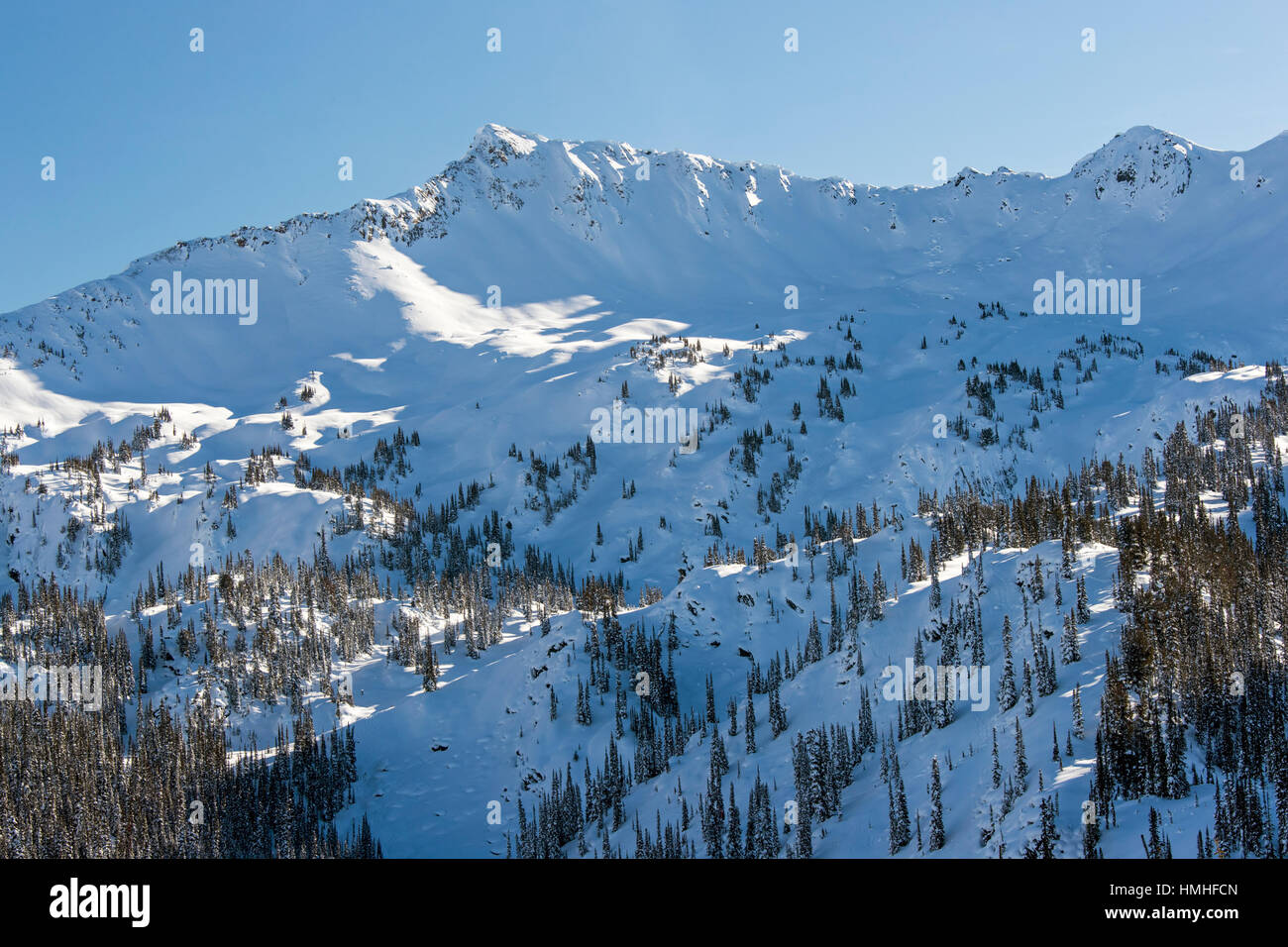 Verschneite Winterlandschaft; Esplanade-Bereich; Selkirk Range; Britisch-Kolumbien; Kanada Stockfoto