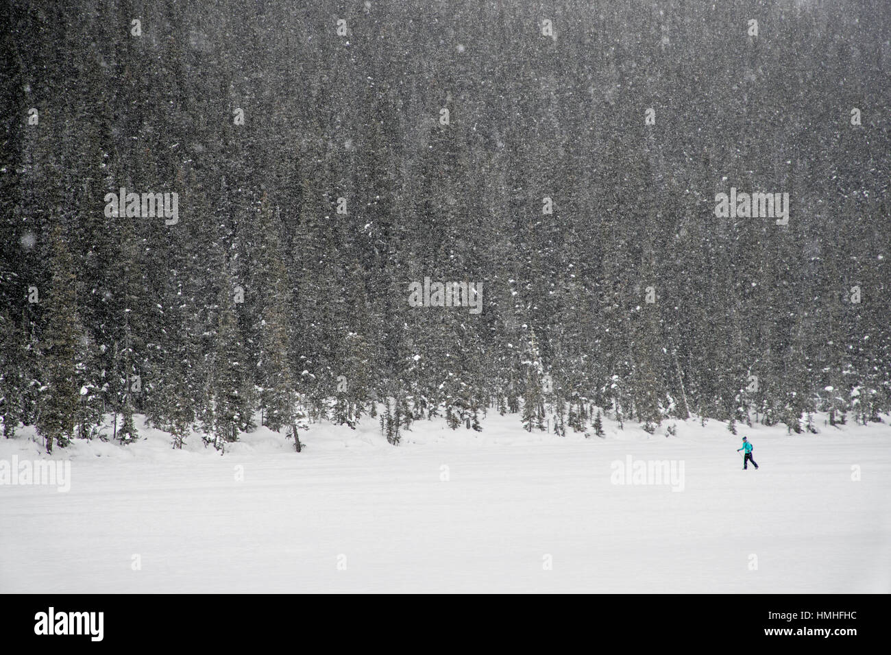 Einsame Langläufer; Lake Louise; Banff Nationalpark; Britisch-Kolumbien; Kanada Stockfoto