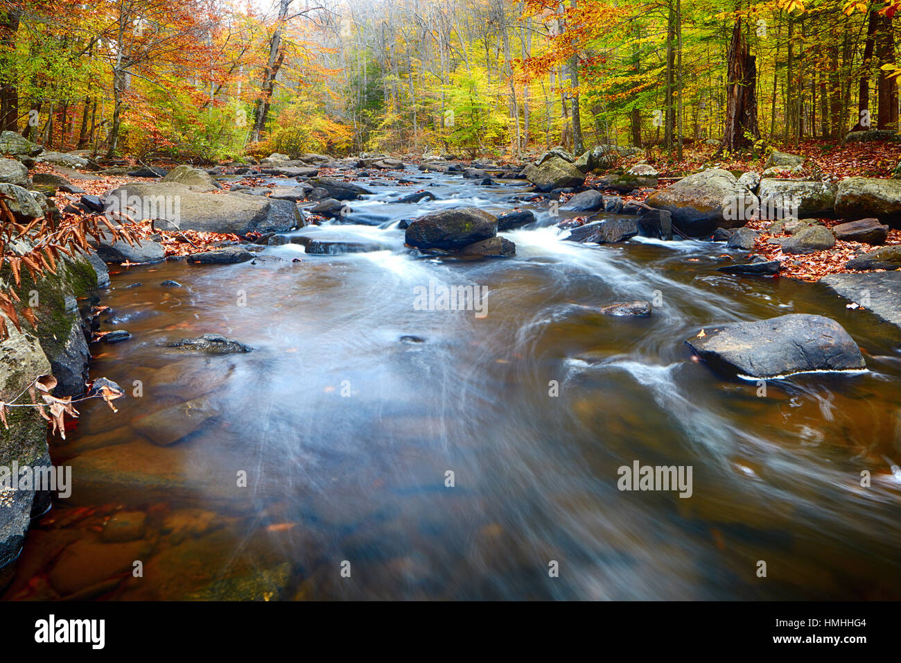 Herbst malerischen Blick auf den Black River, Hacklebarney State Park, Morris County, New Jersey Stockfoto