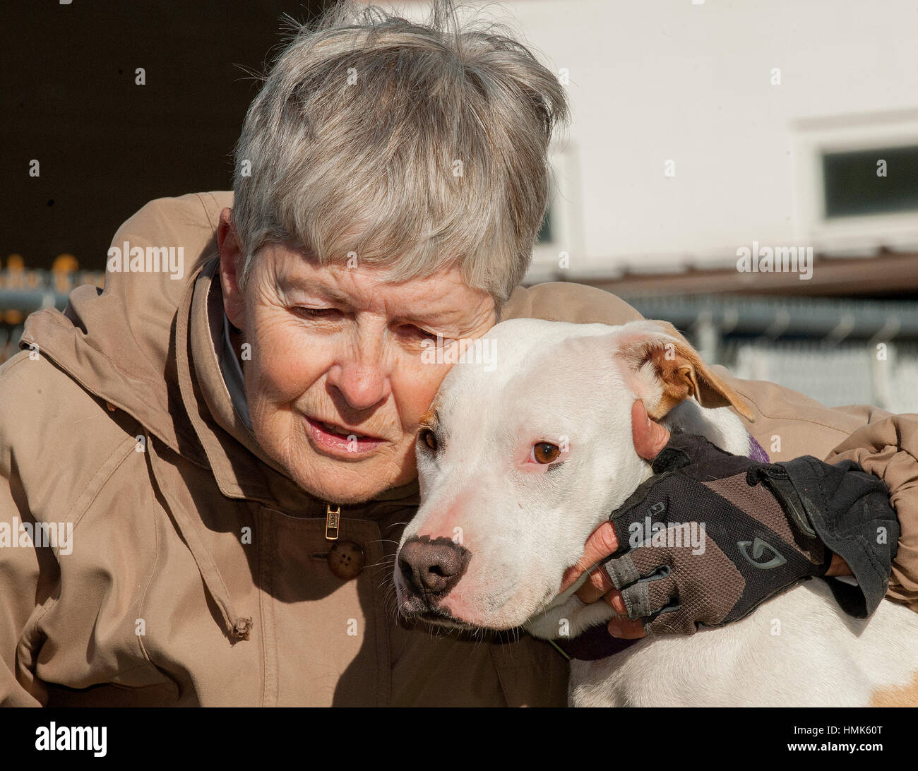 Traurig sucht weißen Mischlingshund Rettungshund wird gestreichelt von Tierheim Arbeitskraft Stockfoto