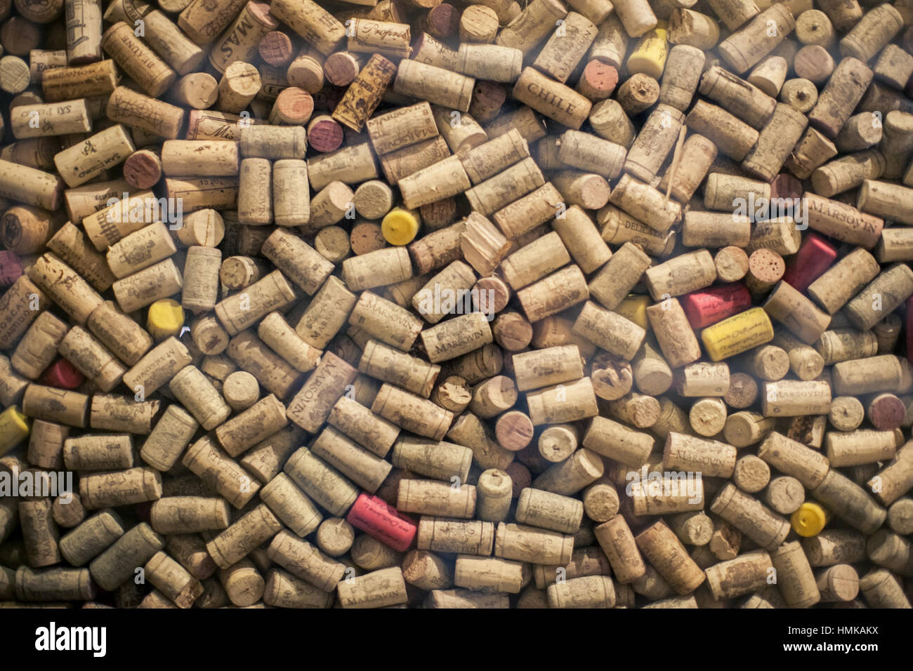 Auswahl der Korken in der Vollanzeige kann als Hintergrundbild, auch zur Veranschaulichung verwendet werden. Einige von ihnen mit, was die meisten von ihnen in natürlichen sind Farben. Stockfoto