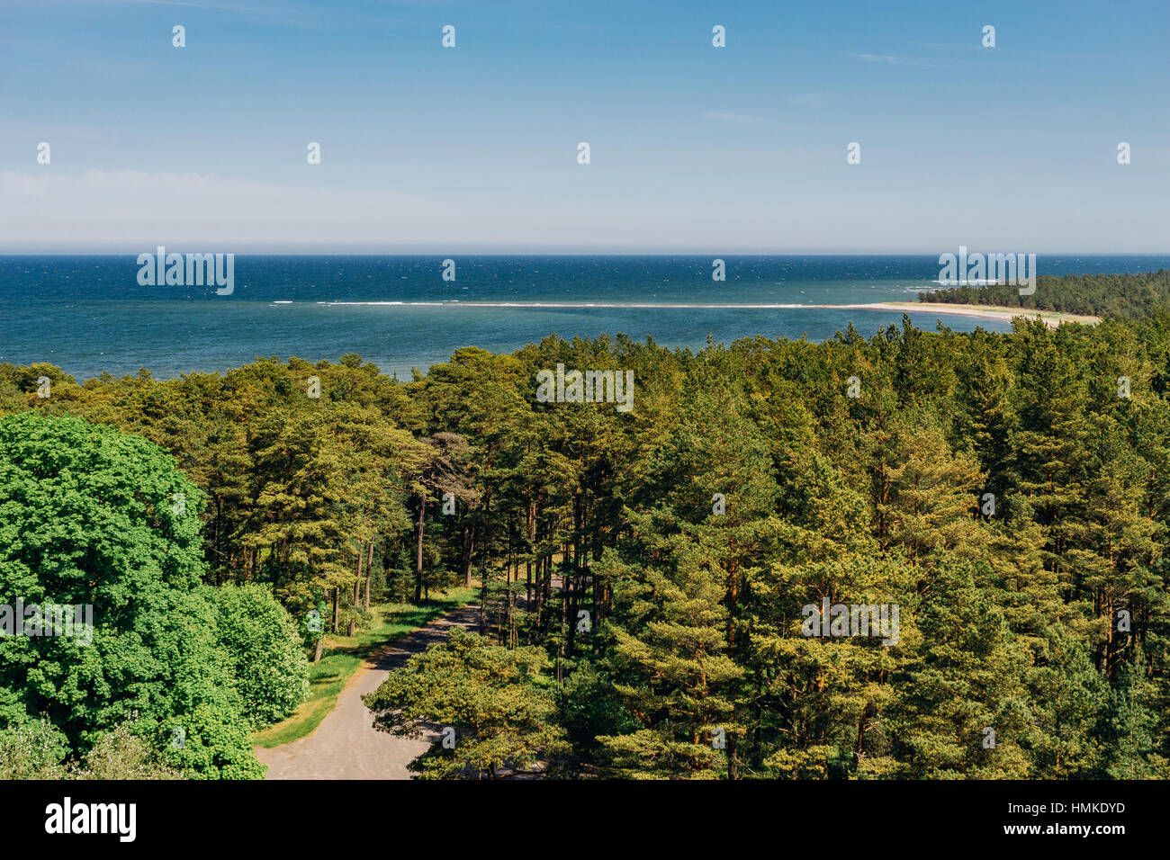 Draufsicht auf Küste und Nadel-Wald von Hiiumaa Insel, Estland Stockfoto