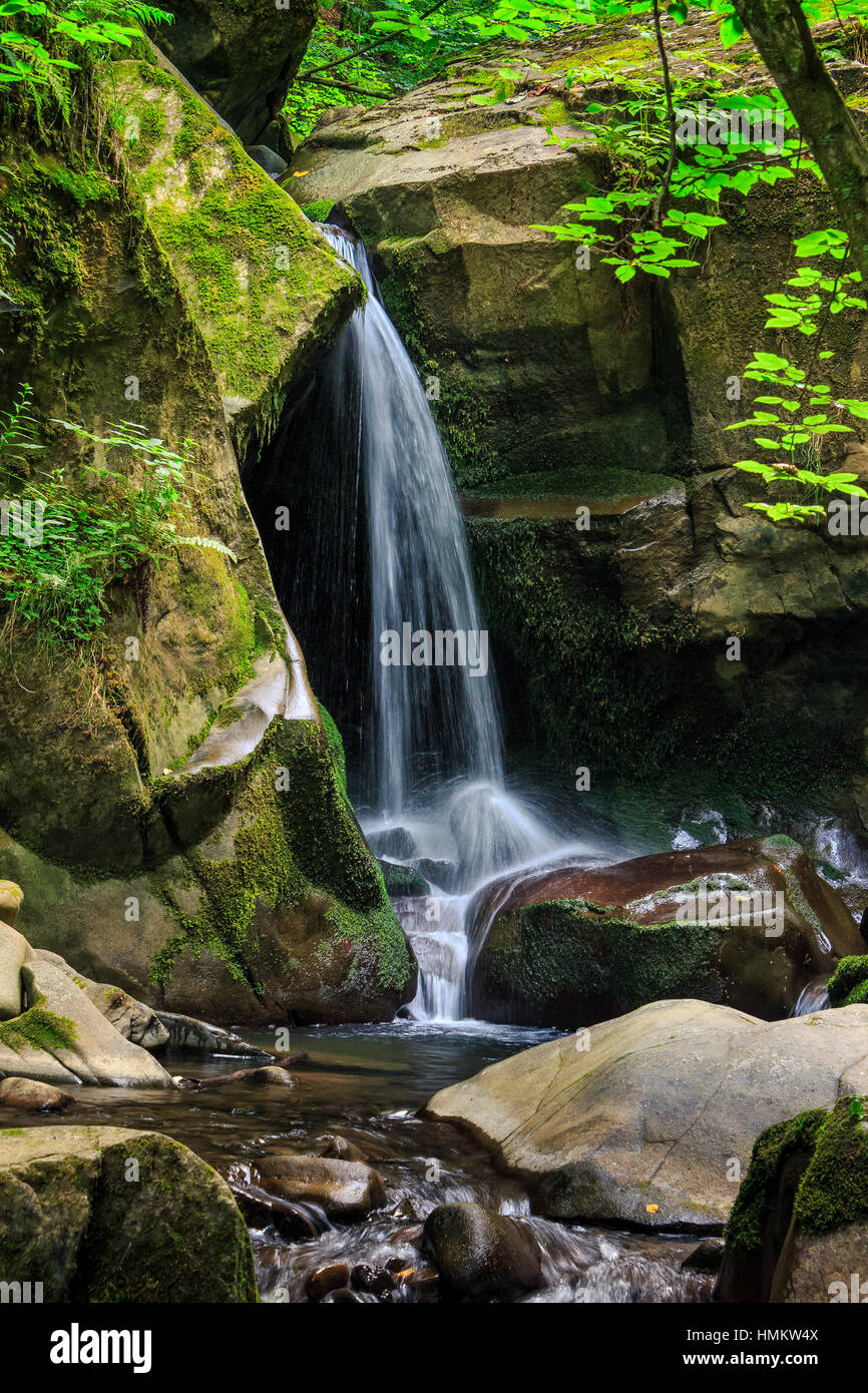 schöner Wasserfall kommt aus ein riesigen Stein im Wald und im Herbst zu den Bergfluss Stockfoto