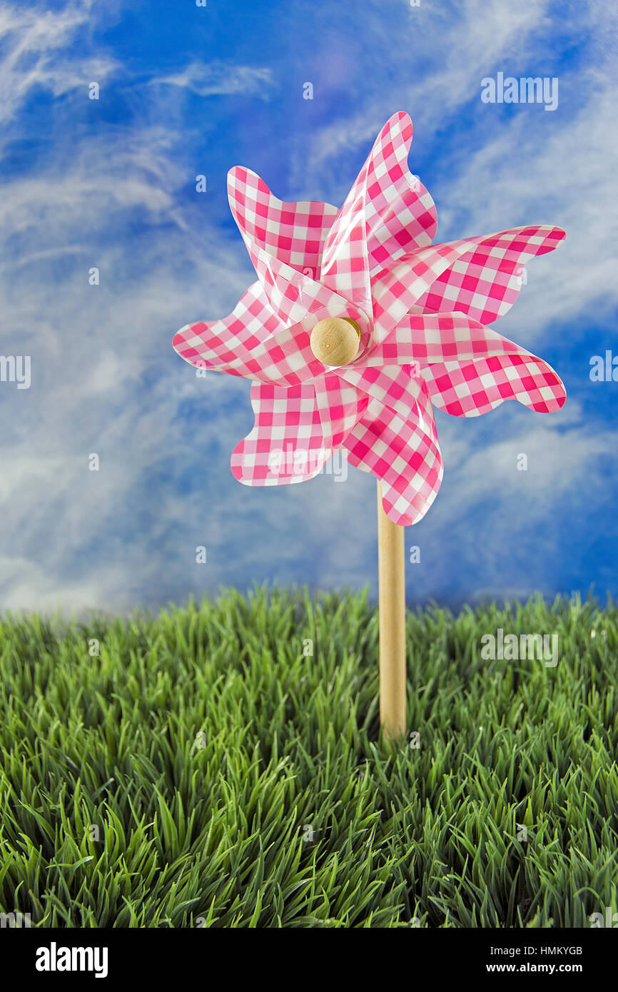 rosa-weiß karierte Windrad in Grasgrün Stockfoto