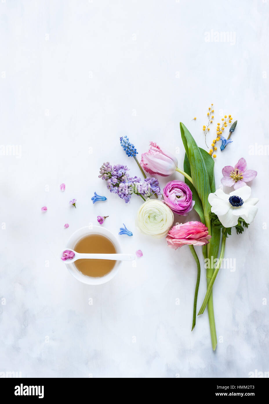 Flach liegen Frühlingsblumen gruppieren sich um eine Teetasse auf einem gemalten weißen und grauen Hintergrund gestaltet, fotografiert in natürlichem Licht Stockfoto