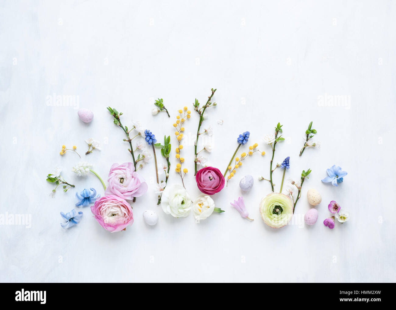 Flache Laien Stillleben frischen Frühlingsblumen und Mini-Eier in einer Reihe auf natürliches Licht gemalten weißen und grauen Hintergrund angeordnet Stockfoto