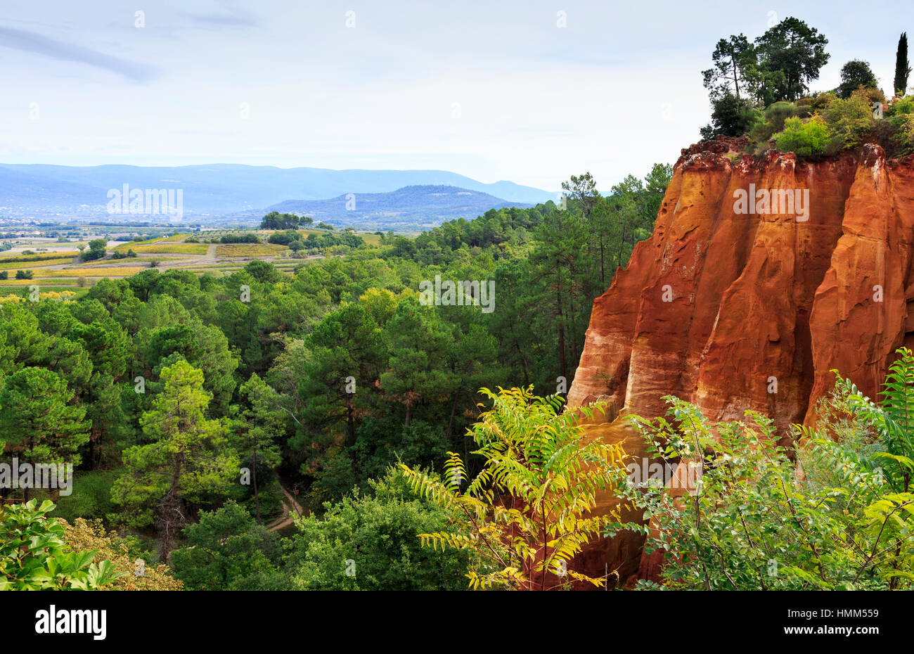 Die berühmten roten Ocker Ton Klippen von Rousillion, der Luberon, Provence, Frankreich Stockfoto