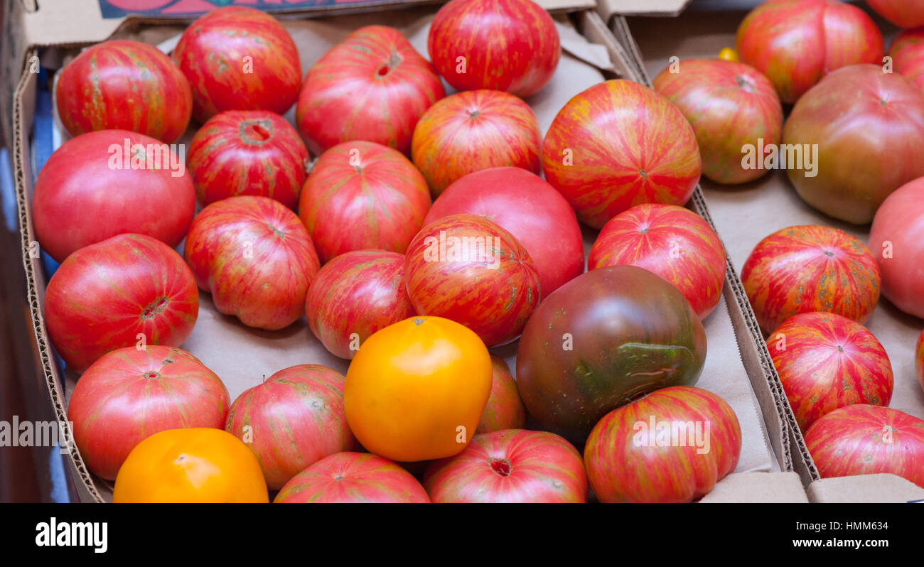 San Francisco, CA: 18. Juli 2014.  Reife rote und gelbe Urtomaten zum Verkauf auf einem Bauernmarkt in Embarcadero. Stockfoto