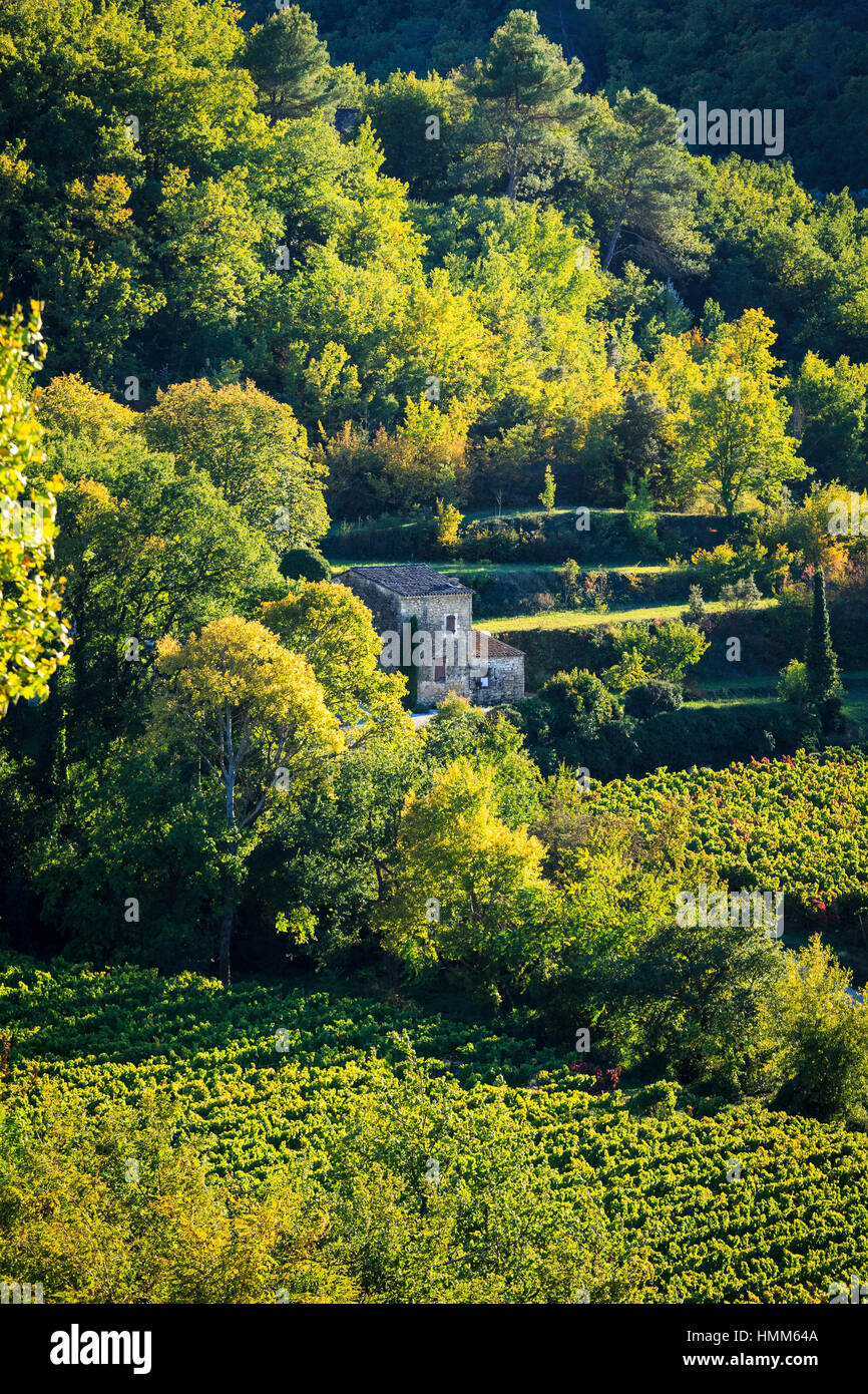 Weinberge, Felder, Bäume und ein altes Steinhaus in der Nähe von Menerbes, Luberon, Provence, Frankreich Stockfoto