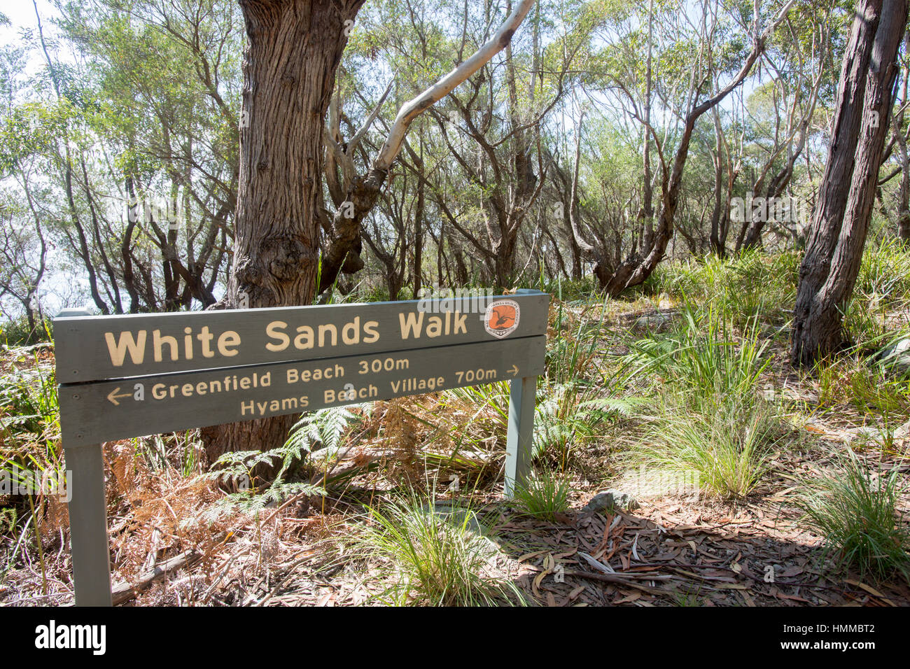 White Sands Walk zwischen Hyams Beach und Greenfield Beach an der südlichen Küste von New South Wales, Jervis Bay, Australien Stockfoto