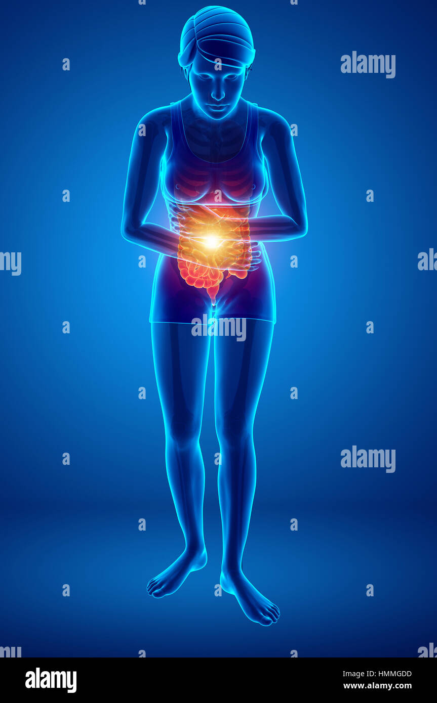 menschlichen Körper Anatomie mit Gelenkschmerzen Stockfoto