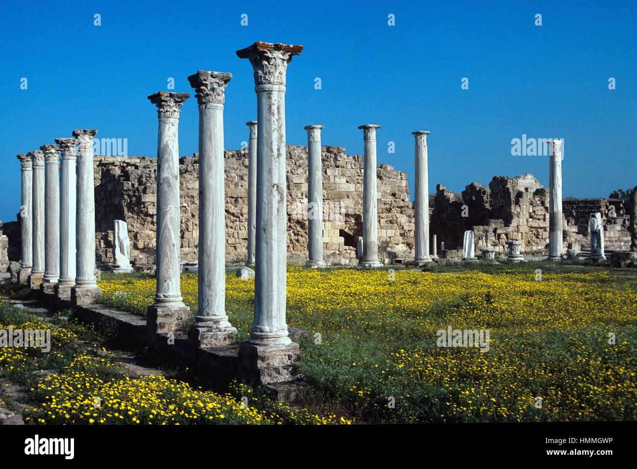 Klassischen Säulen in das antike Gymnasium bei Salamis, ein Ruined antike griechische Stadt in der Nähe von Famagusta auf der Ostküste von Nord-Zypern Stockfoto