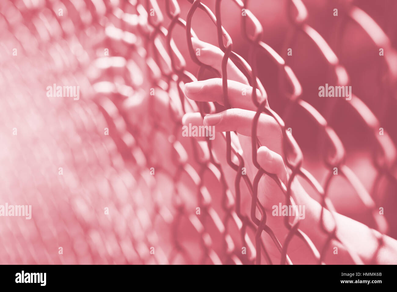 Hand im Zaun-Gefängnis im Gefängnis, keine Freiheit Kampf Konzept. Stockfoto