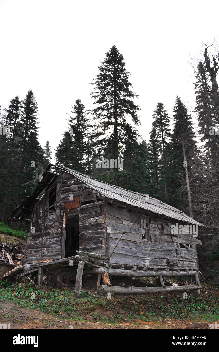 Schäbige Holzhütte im Wald. Anfang Herbst Tag. Stockfoto