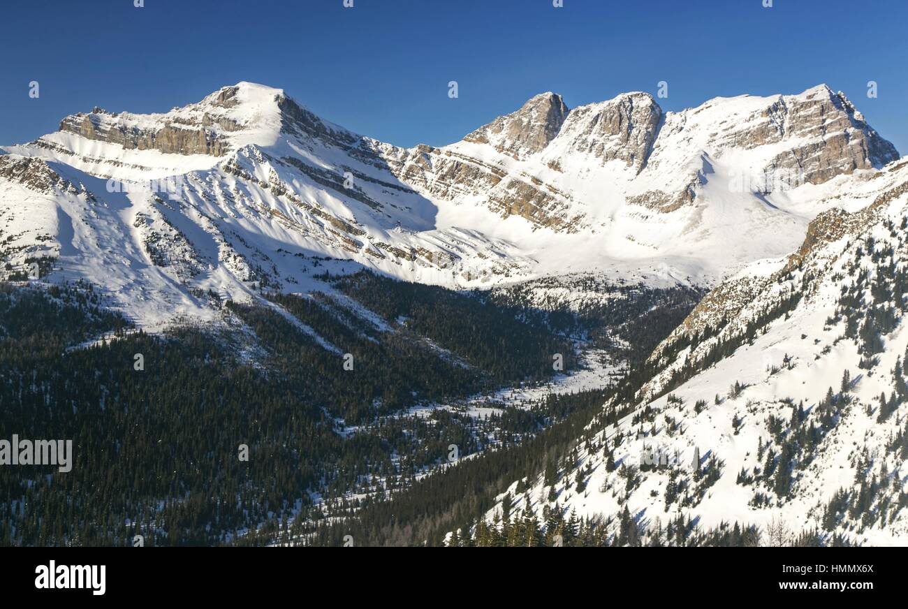 Landschaft Aus Der Vogelperspektive Panoramablick Kanadische Rockies Snowy Mountain Peaks Cold Forest Valley Wintertag Blue Sky Skoki Region Banff National Park Stockfoto