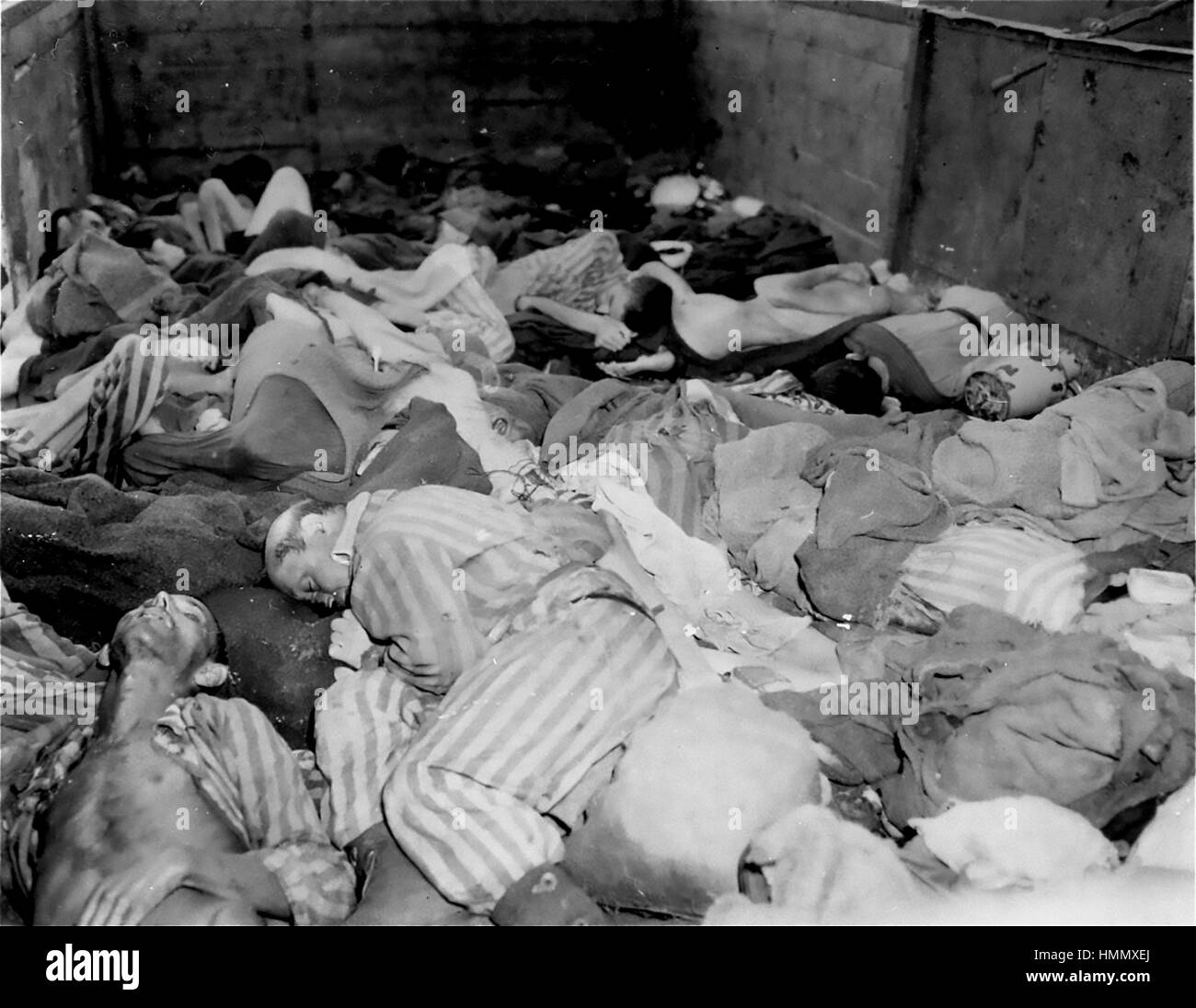 KZ Dachau Leichen in einem der fast 40 Triebwagen mit den Körpern der zwischen 2.000 bis 3.000 Häftlinge aus dem KZ Buchenwald am 7. April 1945 evakuiert wurden. Der Zug kam in Dachau am 28 April. Foto: U.S. Holocaust Memorial Museum. Stockfoto