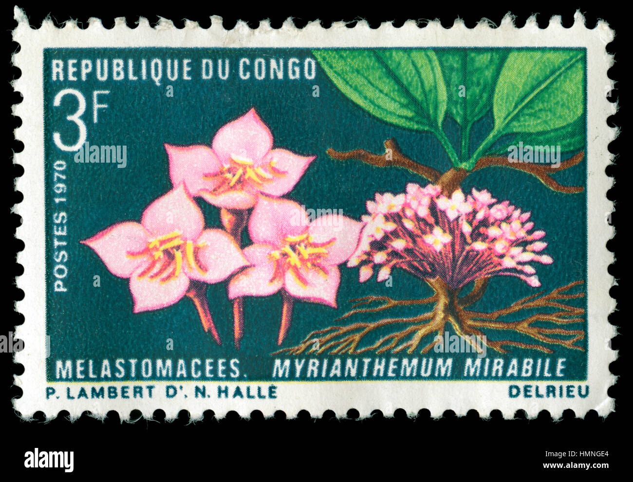 Poststempel Stempel aus Kongo-brazzaville in die Pflanzen und Käfer, Serie 1970 ausgestellt Stockfoto