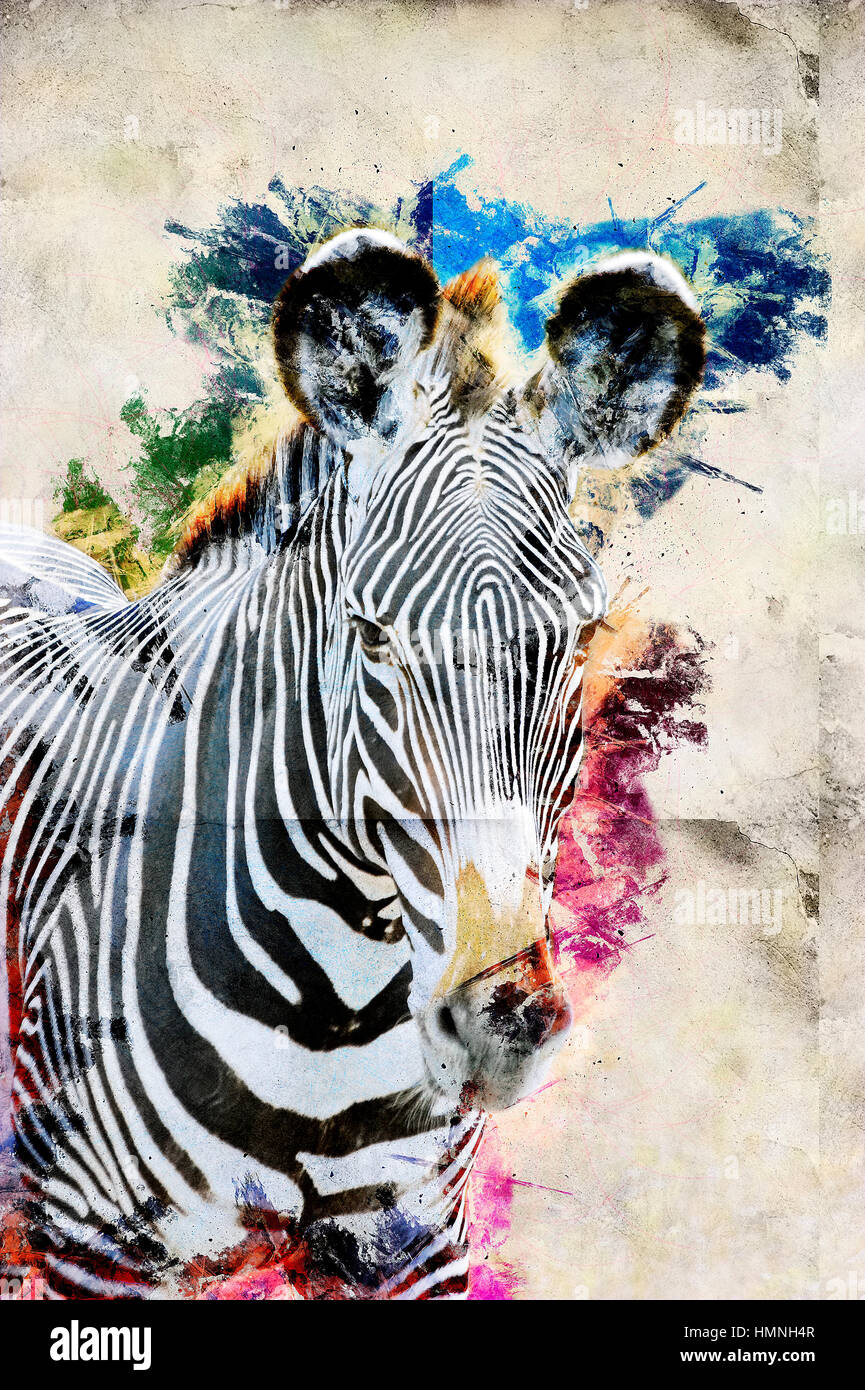 Digital Imagegewinn fotografierte Grevys Zebra, Equus Gevyi, Samburu National Reserve, Kenia Stockfoto