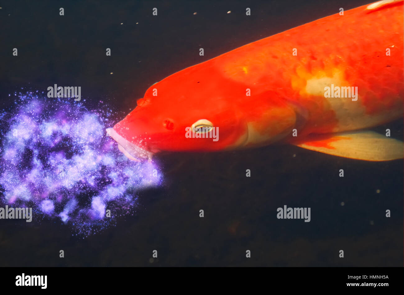 Digital Imagegewinn ein großer gold Fische in einem Teich schwimmen