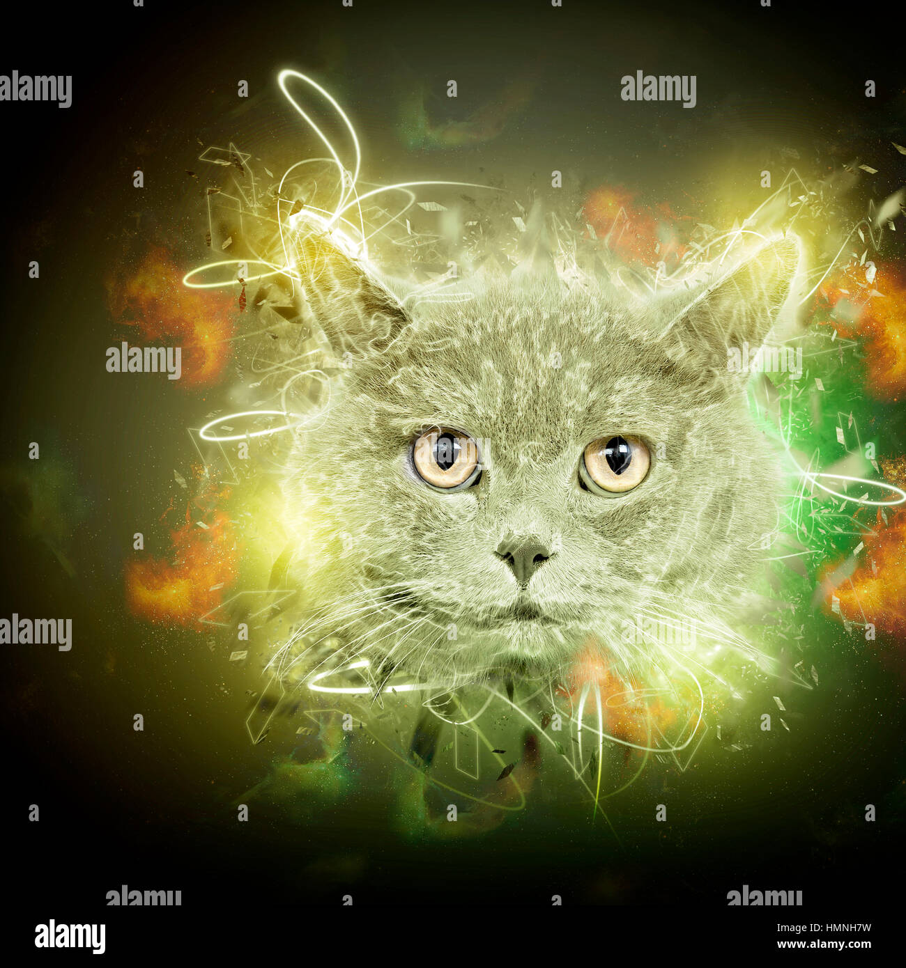 Digital Imagegewinn einer majestätischen Britisch Kurzhaar (AKA britische blau) Katze auf grünen Kissen Stockfoto
