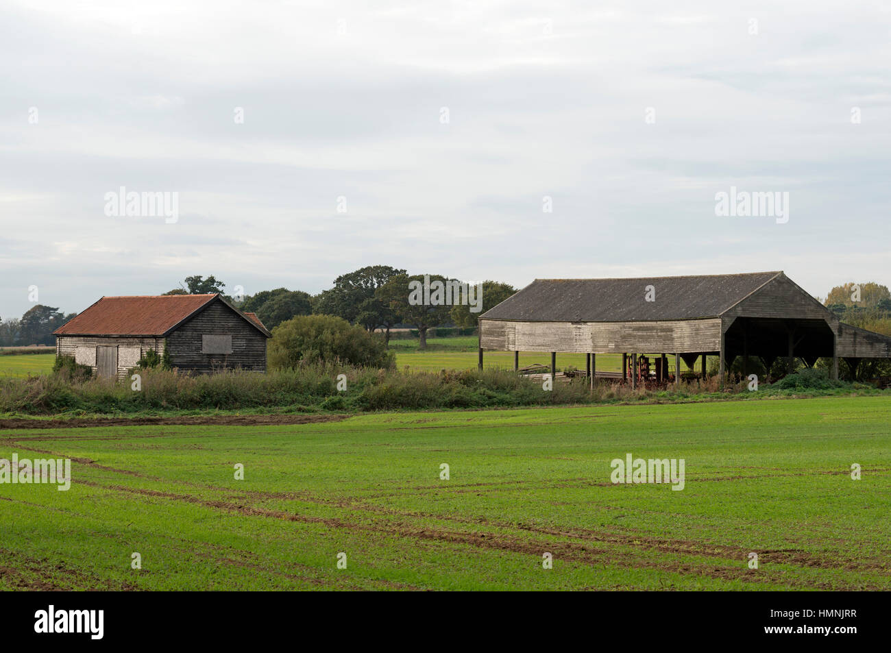 Landwirtschaftliche Gebäude, Ramsholt, Suffolk, UK. Stockfoto