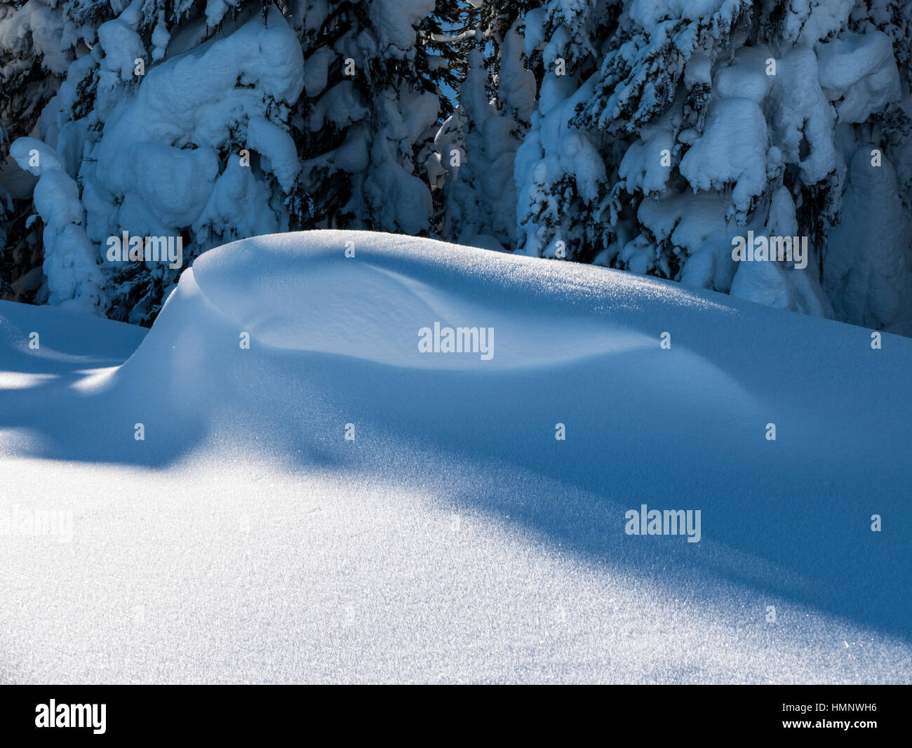 Nahaufnahme Detail von Mustern im frischen Pulverschnee; Esplanade-Bereich; Selkirk Mountains; Britisch-Kolumbien; Kanada Stockfoto