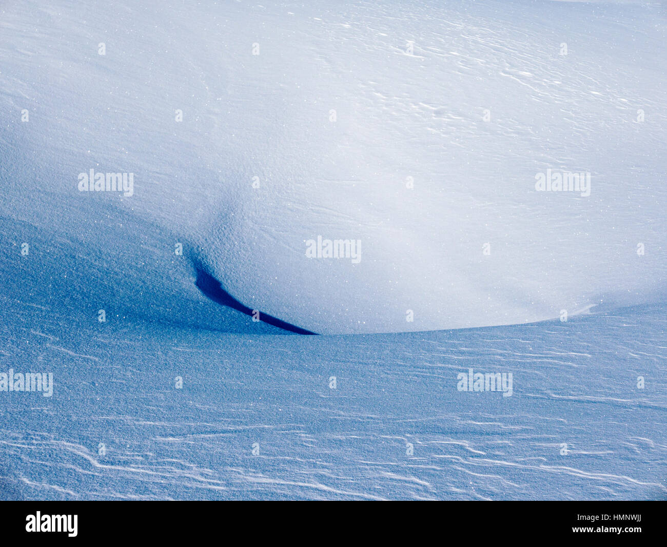 Nahaufnahme Detail von Mustern im frischen Pulverschnee; Esplanade-Bereich; Selkirk Mountains; Britisch-Kolumbien; Kanada Stockfoto