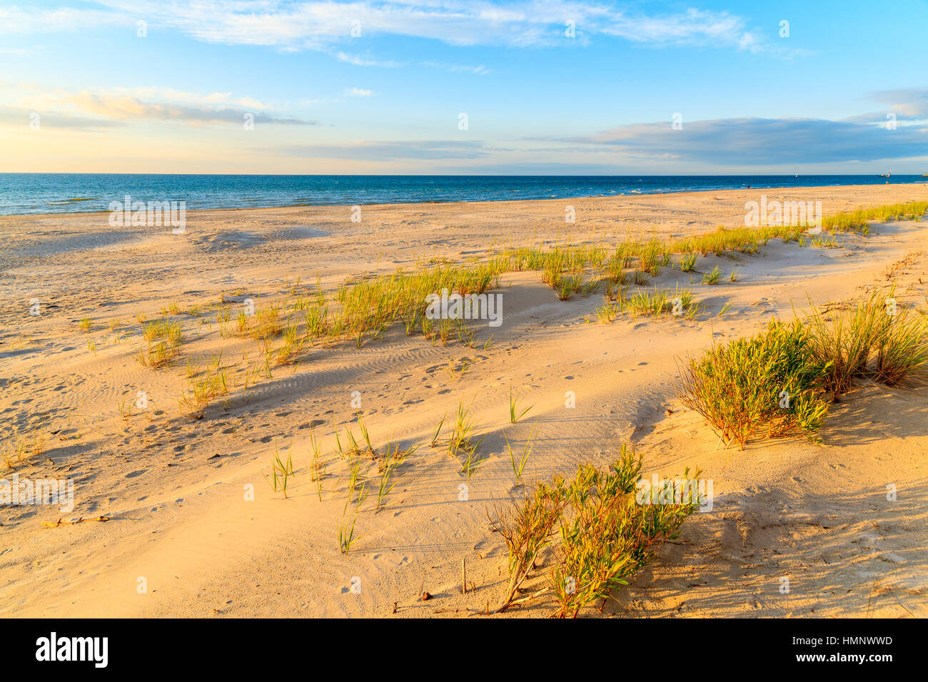 Rasen Sie auf Sanddüne bei Sonnenuntergang, Leba Strand, Ostsee, Polen Stockfoto