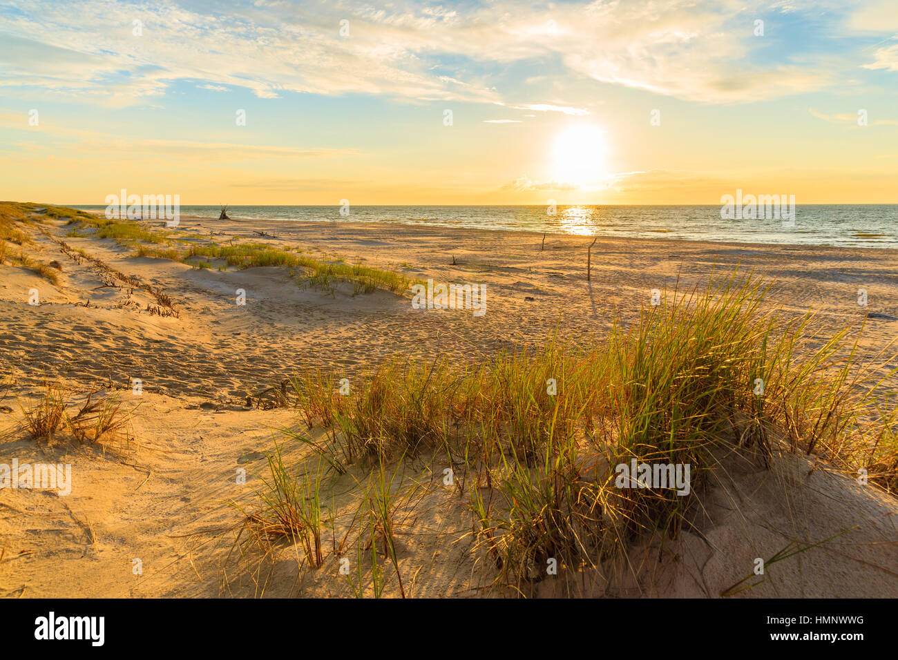 Rasen Sie auf Sanddüne bei Sonnenuntergang, Leba Strand, Ostsee, Polen Stockfoto