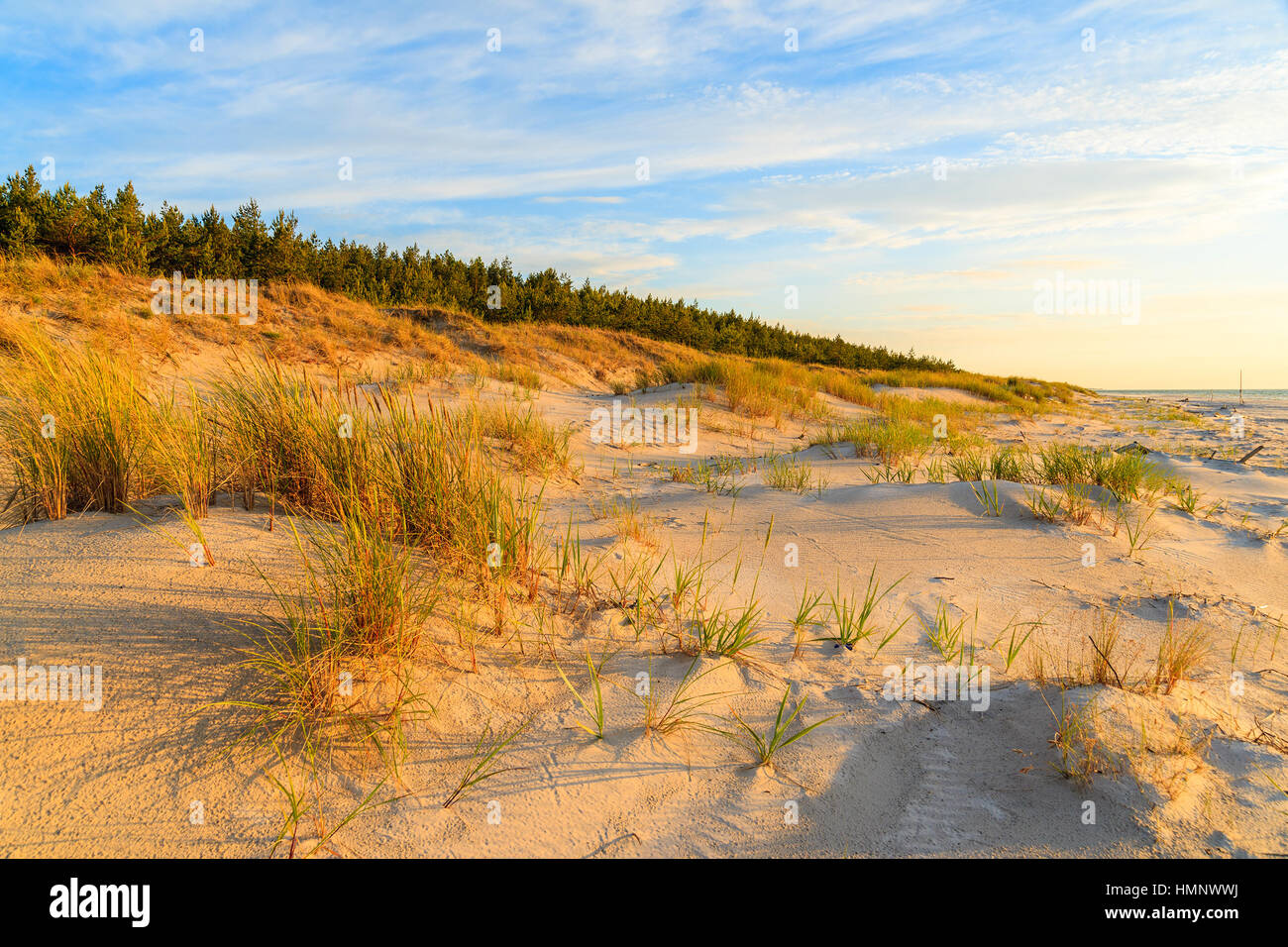 Rasen Sie auf Sanddüne und Sonnenuntergang über Leba Strand, Ostsee, Polen Stockfoto