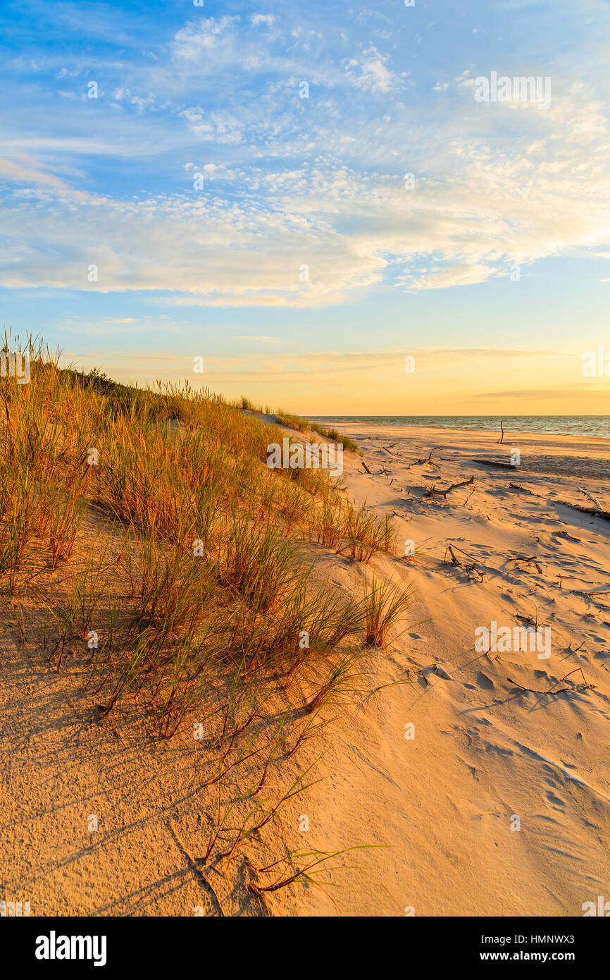 Rasen Sie auf Sanddüne und Sonnenuntergang über Leba Strand, Ostsee, Polen Stockfoto