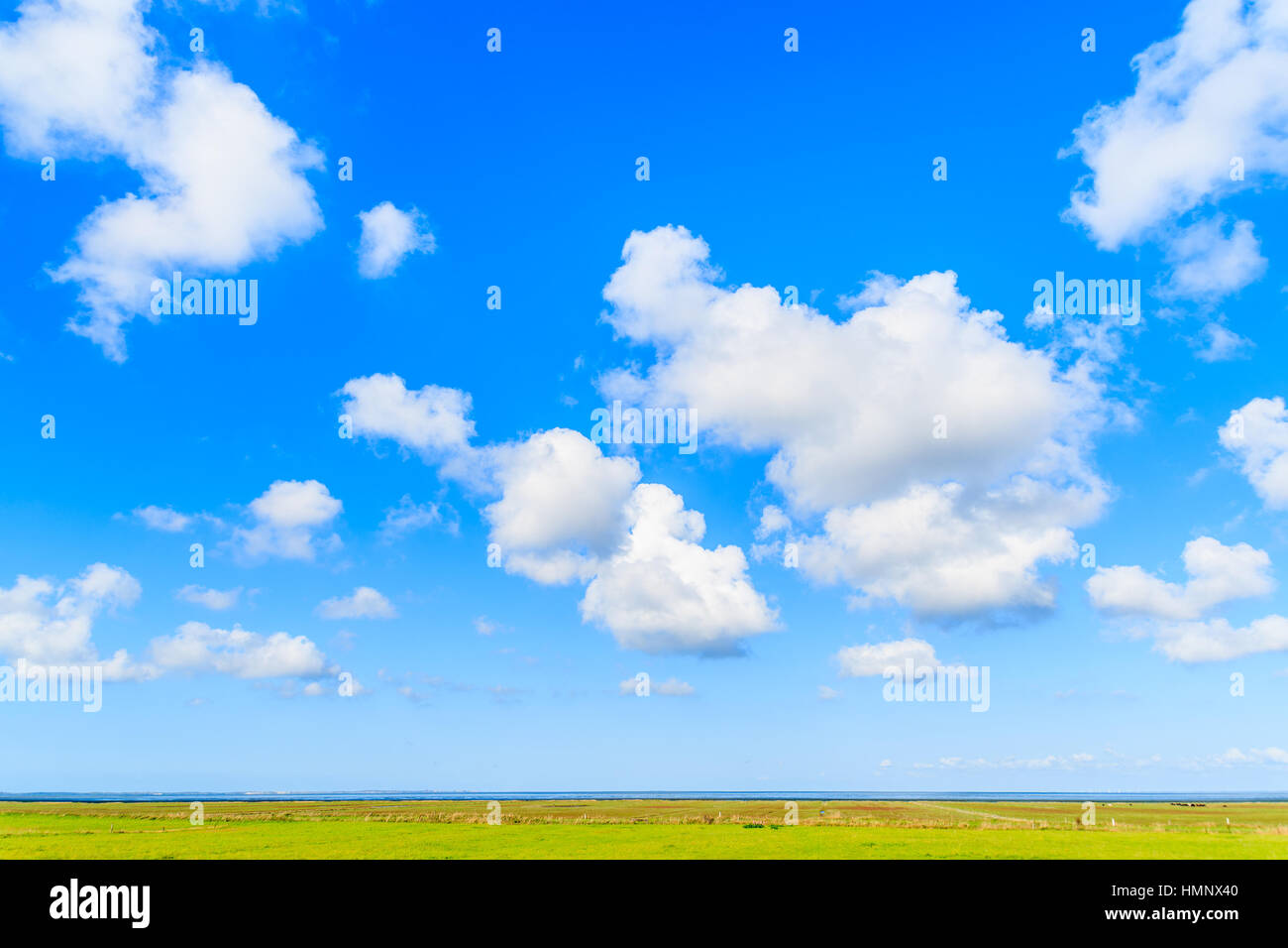 Weißen sonnigen Wolken am blauen Himmel und grüne landwirtschaftliche Felder, Insel Sylt, Deutschland Stockfoto