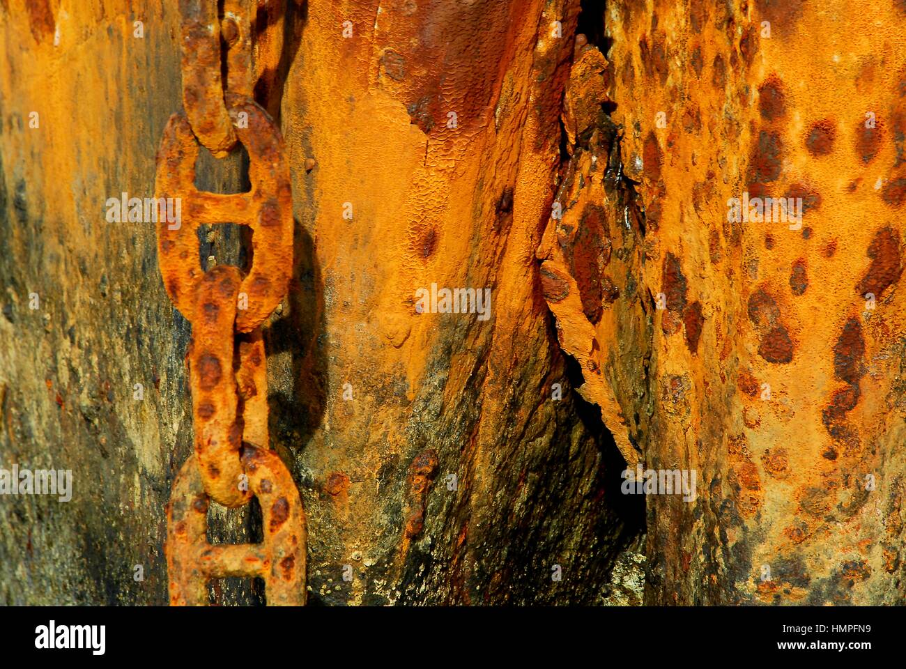 Polisini griechischen Wrack (Kinsei Maru), silberne Banken Marine Sanctuary, Dominikanische Republik, Karibik Stockfoto